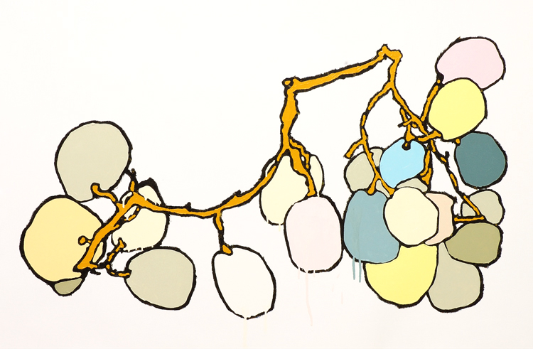 Colored grapes